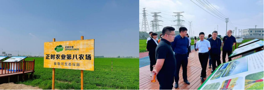 1717386293906826.png 3.png